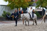 DSC07223.jpg