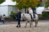 DSC07224.jpg