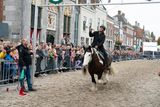 DSC07605.jpg