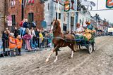 DSC08063.jpg
