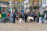 DSC06456.jpg