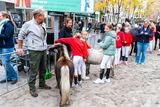 DSC06487.jpg