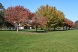 20221023 Ralph Wilson Park web-851551.jpg