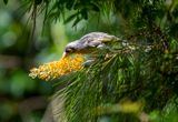 DSC_3332.jpg