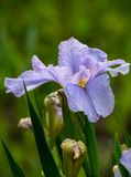 DSC_2288.jpg