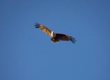 DSC_5500.jpg