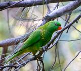 DSC_7949.jpg