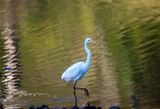 DSC_0805.jpg