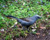 DSC_4352.jpg