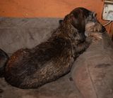 IMG_2077.jpg