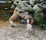 IMG_0457.jpg