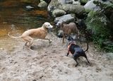 IMG_0451.jpg