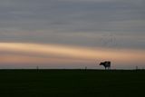 Melancholic landscape