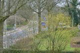 View from my window