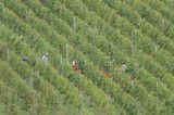 Steep slopes