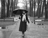 Umbrella
