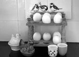The kitchen