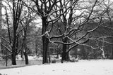 Naturel BW