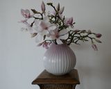 Vase with magnolia