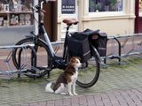 Bike guard