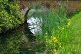 Waterflag
