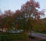 View from my window