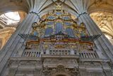 Organ