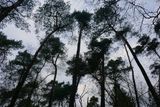 Towering