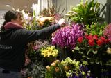 At the flower shop