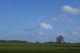 Low horizon