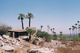 21424_04.jpg