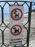 Pauvres toutous, ils doivent se baigner en hiver quand leau est froide !