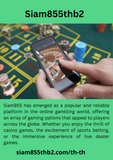 Siam855thb2