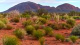 Kata Tjuta