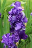 IMG_8621_xi.jpg