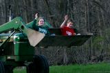 Another cabbage patch harvest