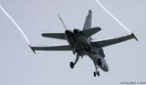 McDonnell Douglas F/A-18 Hornet