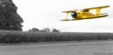 1946  Beechcraft Staggerwing high speed flyby