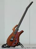 Parker guitars