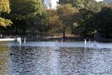 Central Park Model Yacht Club, NYC