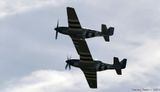 P-51D &  P-51B