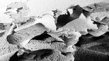 5E9A0244.jpg