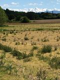 La pampa pyrnenne au mois de Mai