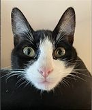 Gaspouminou a vu le fantme de Gaspard