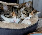 Les deux Ruby