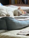 Jrme est rentr se reposer quelques instants dans la maison