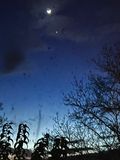 La Lune et la plante Vnus ce soir 24/3/2023  20h