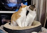 La bise du matin entre Louis et Rubyblanche
