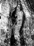 Fissure double de la Souris au Petit Blanc