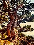 674DC740-D97F-43D4-BE1D-2379BE496C3A.jpeg